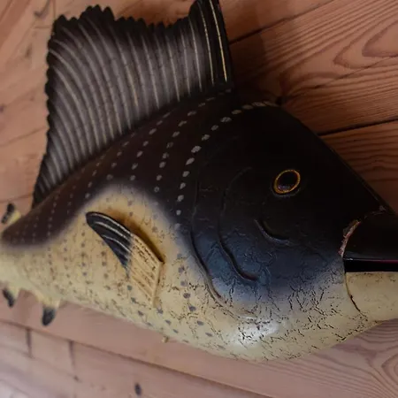 Limfjords Üdülőpark Roslev